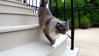 Непрерывные действия